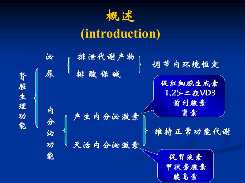 最新肾衰课件-PPT文档.ppt_第1页