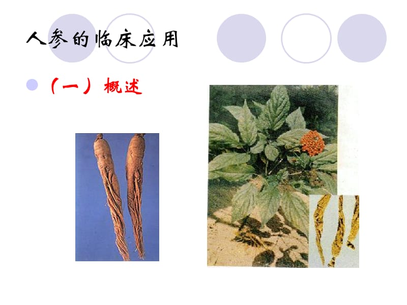 单味中药的临床应2-PPT文档资料.ppt_第3页