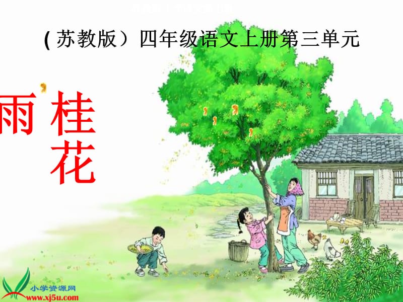 桂花雨 (4).ppt_第1页