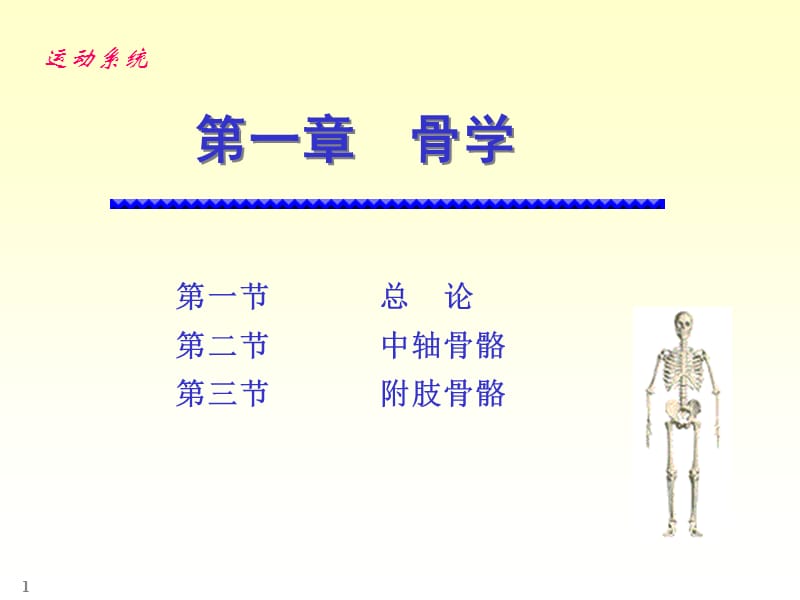 最新人体解剖骨学-PPT文档.ppt_第1页