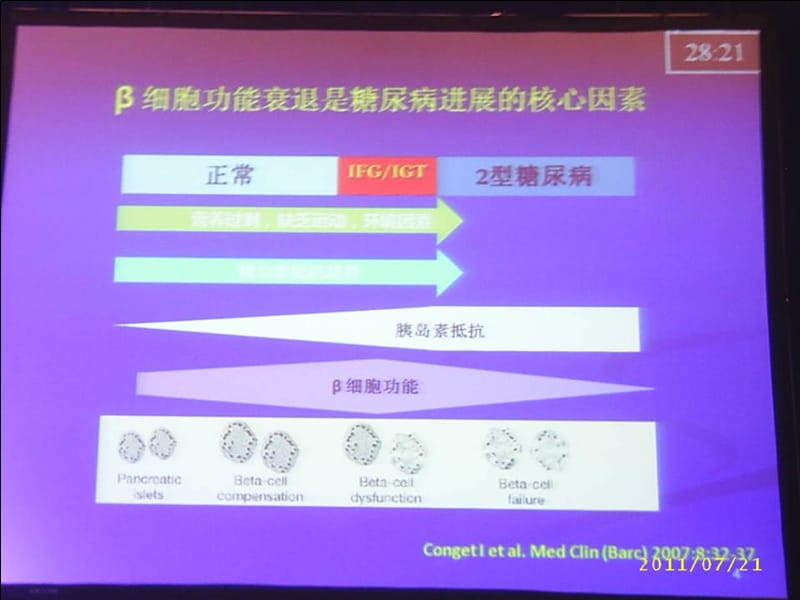 最新新型降糖药作用与地位肠促胰岛素-PPT文档.ppt_第2页