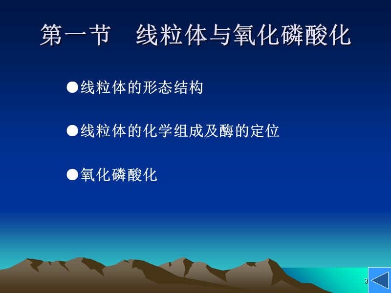 6细胞的能量转换线粒体和叶绿体5-文档资料.ppt_第3页