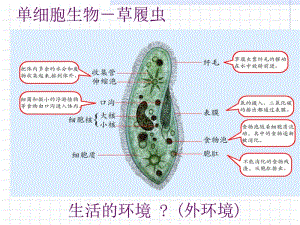 最新生物：1.1《细胞生活的环境》课件新人教版必修3)-PPT文档.ppt