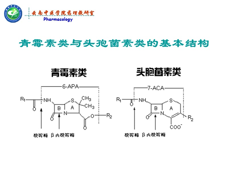 最新β－内酰胺类抗生药理学课件-PPT文档.ppt_第3页