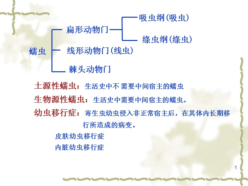 最新：《肝吸虫》-文档资料.ppt_第1页