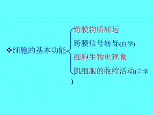 最新：2009第三章细胞的基本功能-文档资料-文档资料.ppt