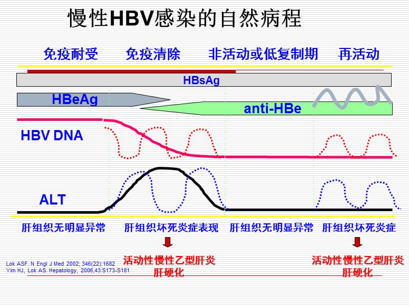 最新科室早会慢性乙型肝炎治疗指南解读课件-PPT文档.ppt_第3页