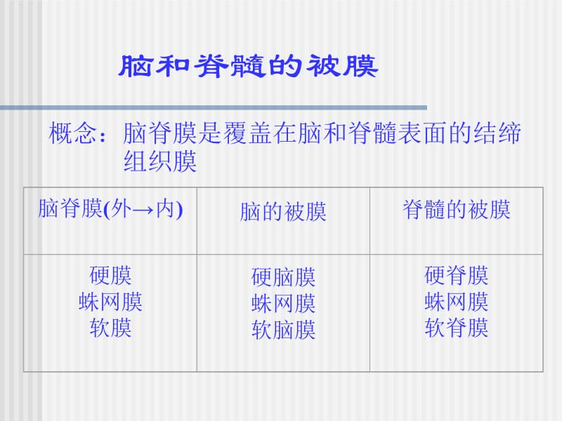 cns被膜和血管-PPT课件.ppt_第2页