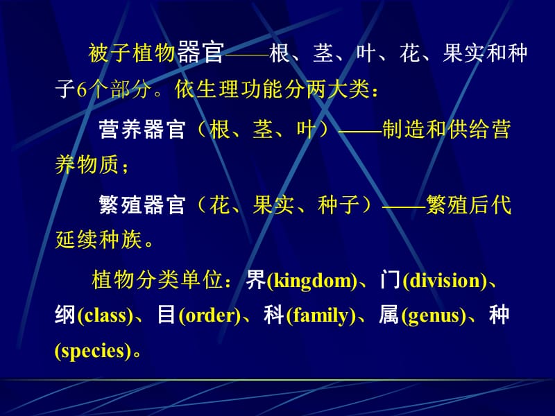 最新植物解剖学基础-PPT文档.ppt_第1页