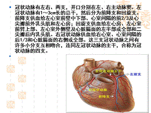 冠状动脉搭桥术患者护理查房课件-PPT课件.ppt