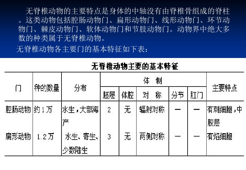 动物解剖和分类2-精选文档.ppt_第1页