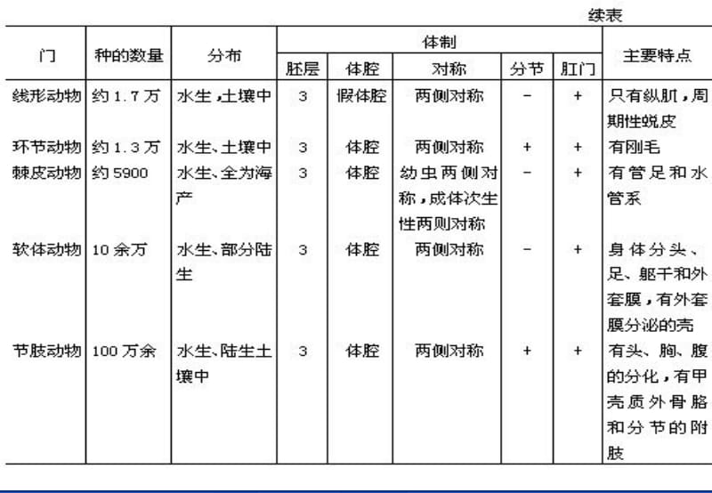 动物解剖和分类2-精选文档.ppt_第2页