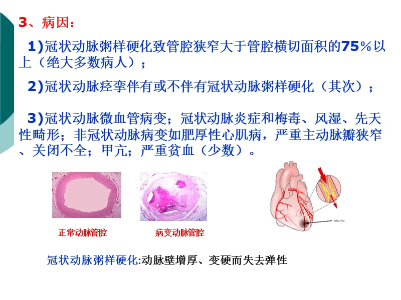 内脏系统药物药理-2-文档资料.ppt_第3页