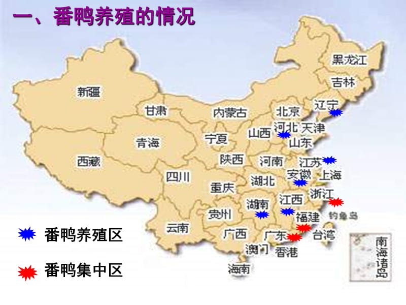 最新番鸭疾病防治技术要点-PPT文档.ppt_第2页