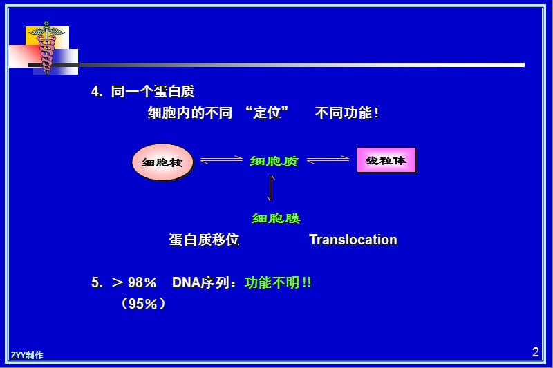 resources肿瘤问题-PPT文档资料.ppt_第2页