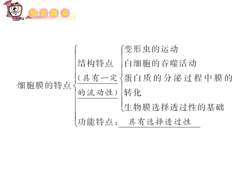 最新最新：2012届《教学导航》高三生物复习课件：必修1第5讲细胞的基本结构-文档资料-PPT文档.ppt_第3页