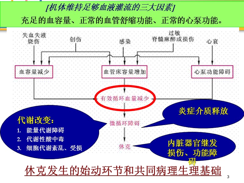 zj外护4休克-精选文档.ppt_第3页