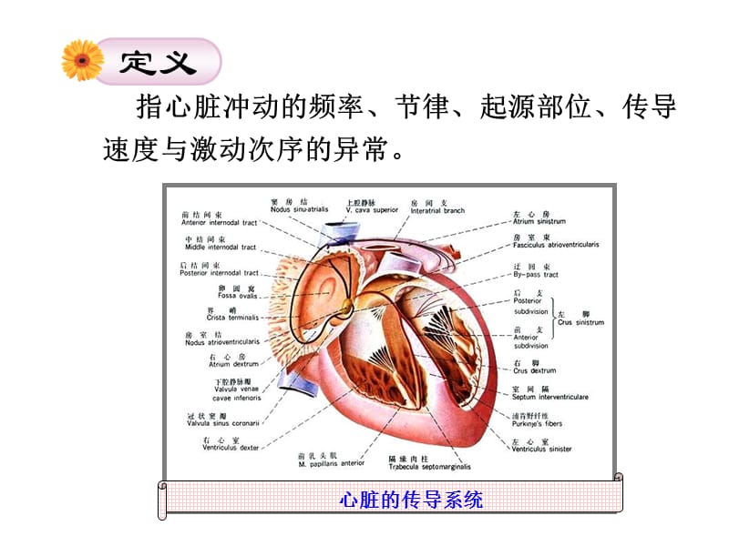 内科护理学第5版 心律失常-PPT文档资料.ppt_第1页