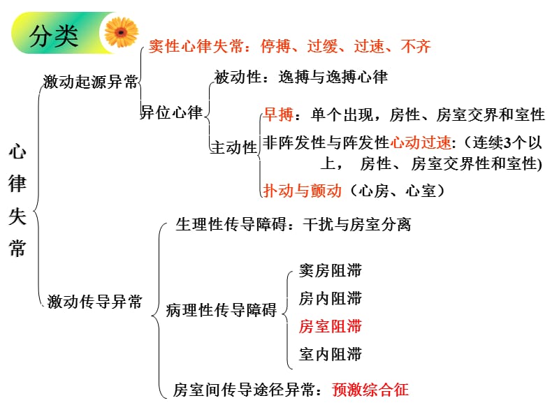 内科护理学第5版 心律失常-PPT文档资料.ppt_第2页