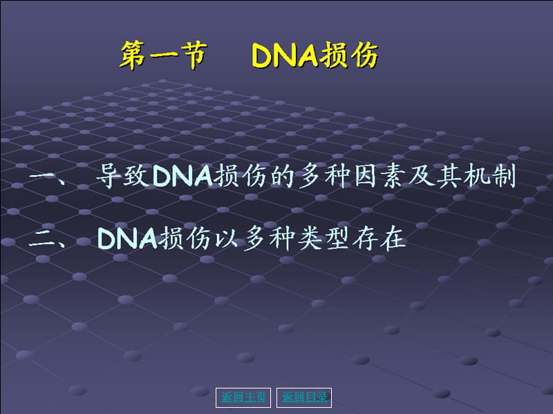 最新第04章 DNA损伤课件-PPT文档.ppt_第2页