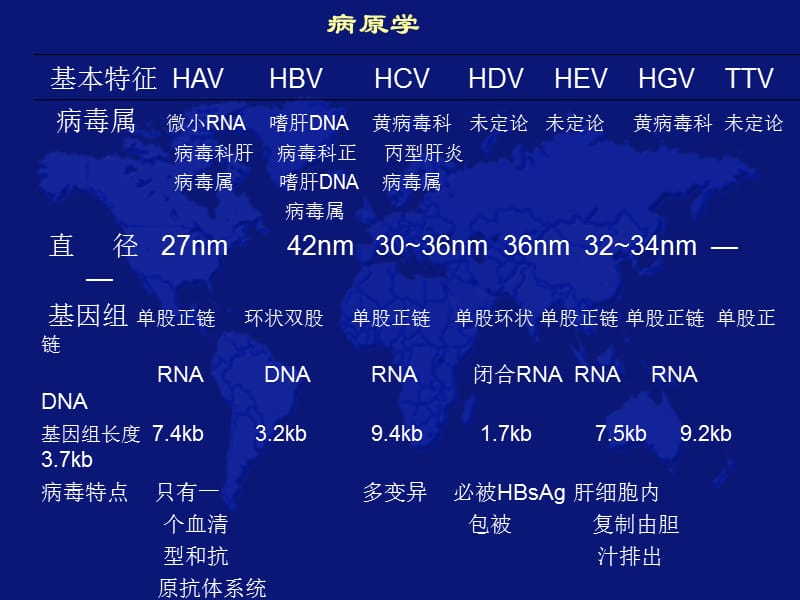 最新病毒性肝炎的治疗和预防幻灯片-PPT文档.ppt_第2页