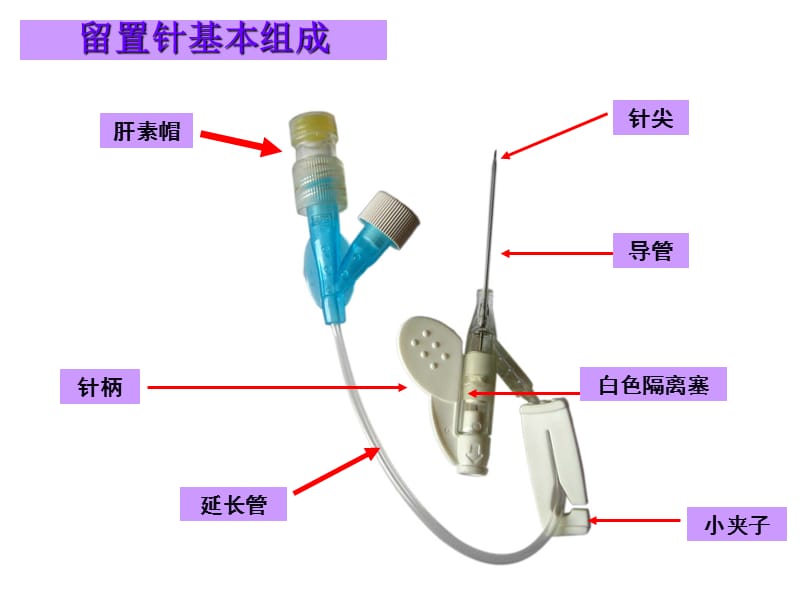 儿科静脉留置针操作与维护ppt课件-PPT文档.ppt_第3页