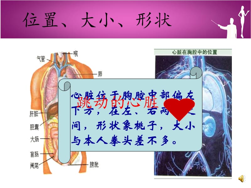 最新《初中《心脏》ppt课件-PPT文档.ppt_第3页