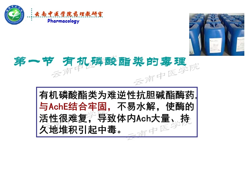 最新有机磷酸酯类毒理及胆碱酯酶复活药药理学-PPT文档.ppt_第2页