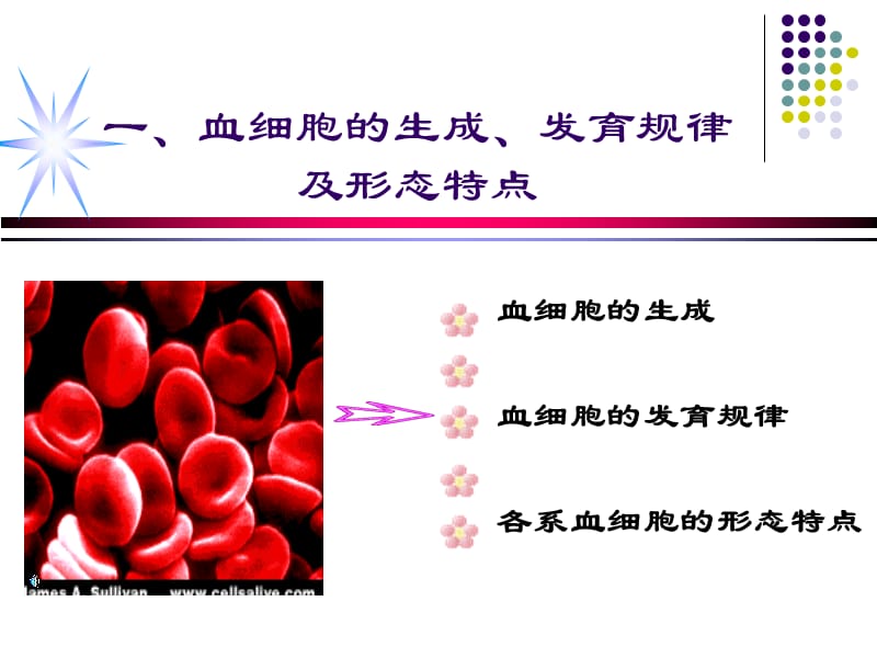 修改血细胞形态特征及常见血液病的血液学特征-PPT课件.ppt_第1页