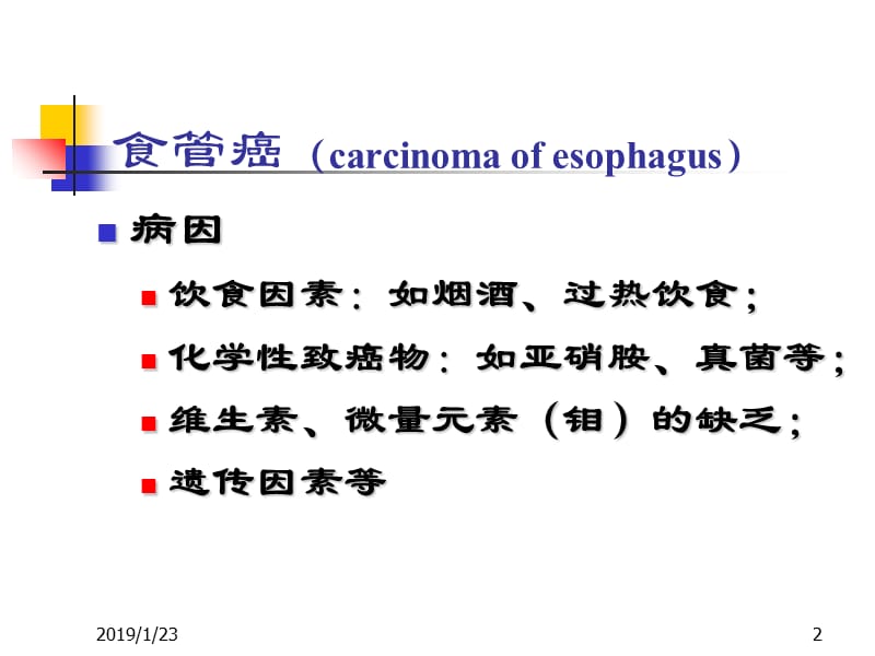 最新《消化系统肿瘤》PPT课件-PPT文档.ppt_第2页