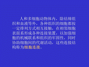 R第章细胞连接与细胞外基质-PPT文档资料.ppt