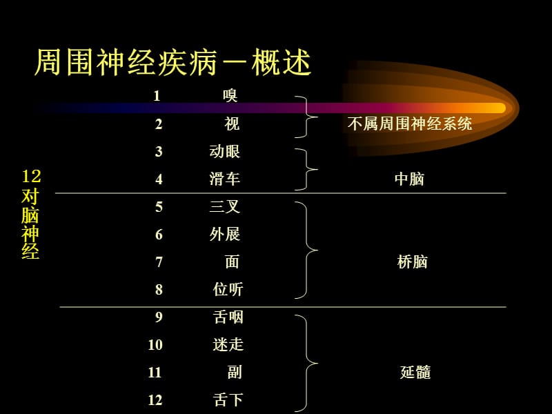 周围神经系统疾病-文档资料.ppt_第3页