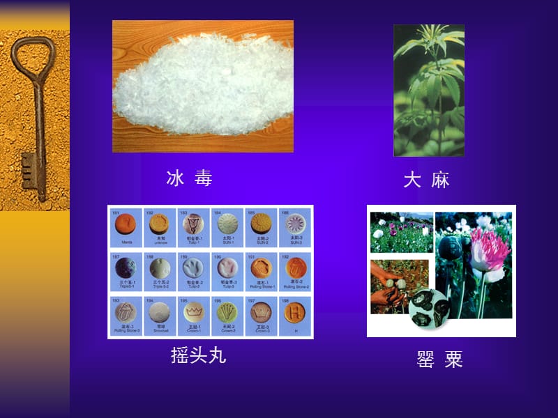 特殊管理药品-文档资料.ppt_第1页