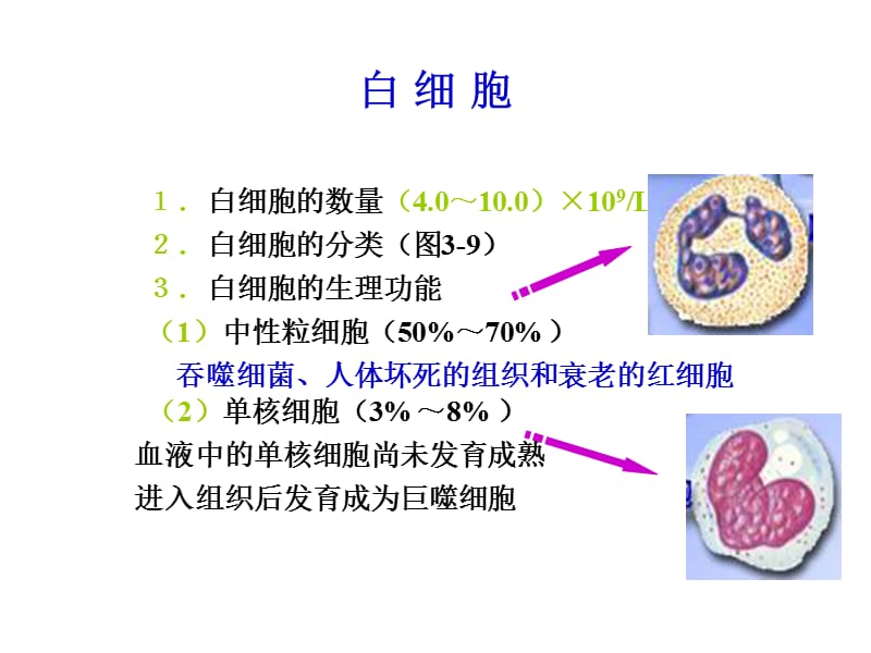 最新：生理-白细胞与血小板功能-文档资料.ppt_第1页