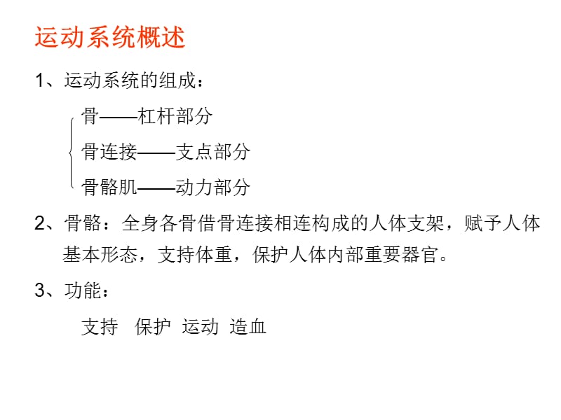 最新解剖与生理实验-实验二 人体骨架的观察-PPT文档.ppt_第3页