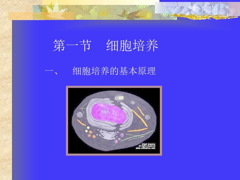 口腔细菌的培养及应用-文档资料.ppt_第1页