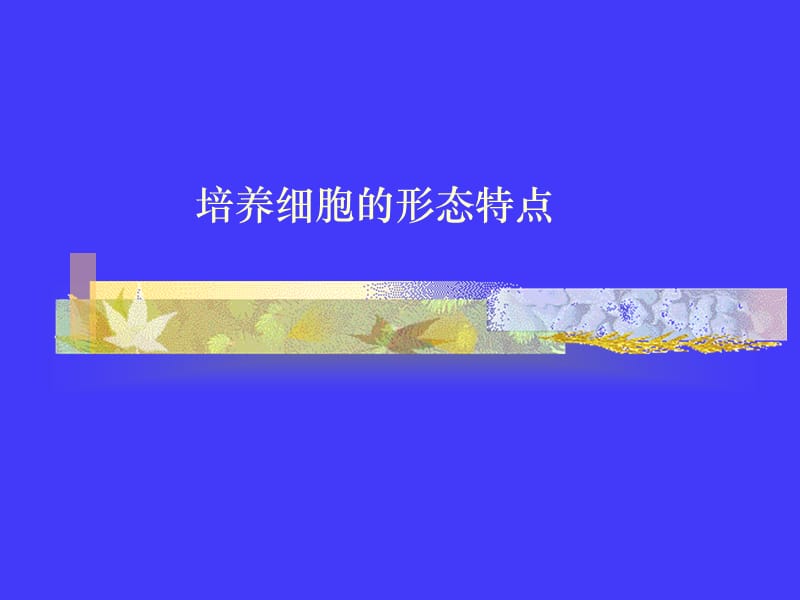 口腔细菌的培养及应用-文档资料.ppt_第3页