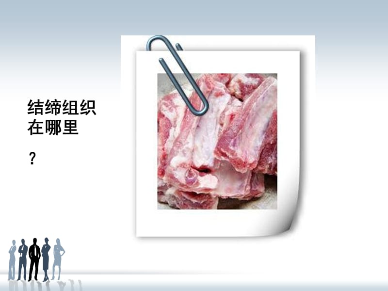 最新2011-20122护理结缔1-PPT文档.ppt_第1页