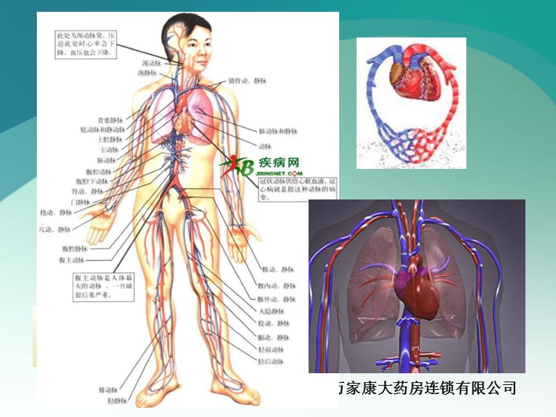 常见疾病及处理-PPT课件.ppt_第2页