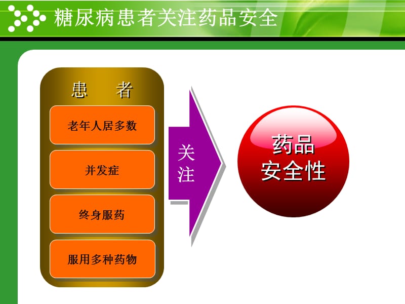 安全合理使用糖尿病治疗药物（基层医生版）-PPT文档资料.ppt_第2页