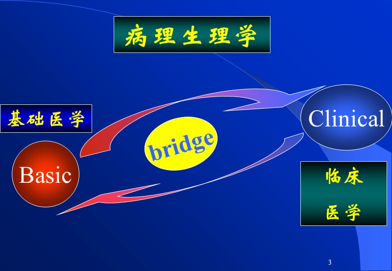 病理生理学-本科教学第三章 水电解质代谢紊乱-PPT文档.ppt_第3页