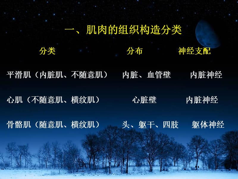 昆医系统解剖学课件-肌学-PPT文档.ppt_第2页