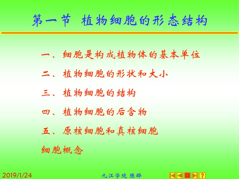 最新：植物形态解剖学-文档资料.ppt_第1页