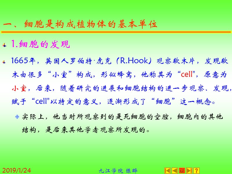 最新：植物形态解剖学-文档资料.ppt_第2页