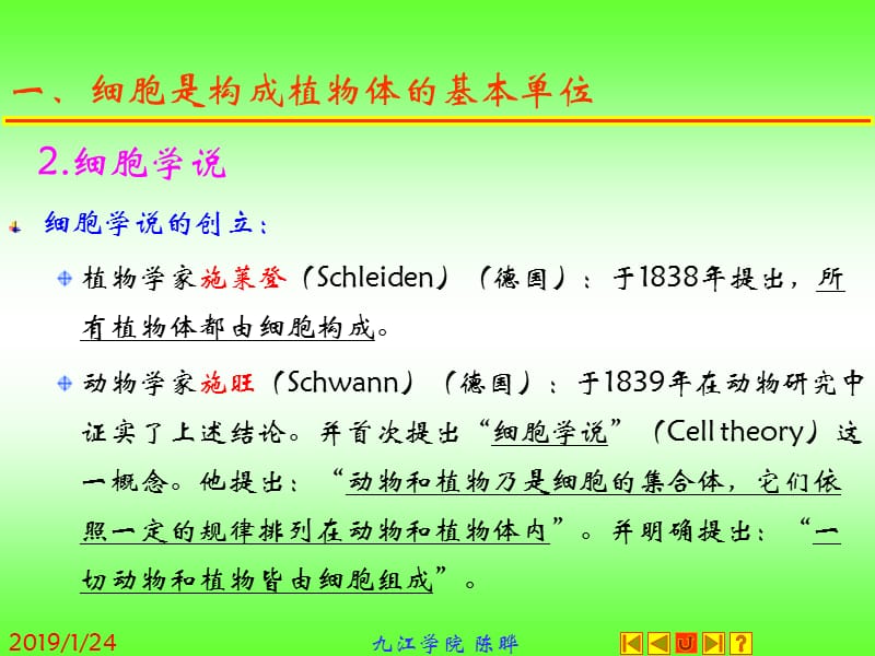 最新：植物形态解剖学-文档资料.ppt_第3页