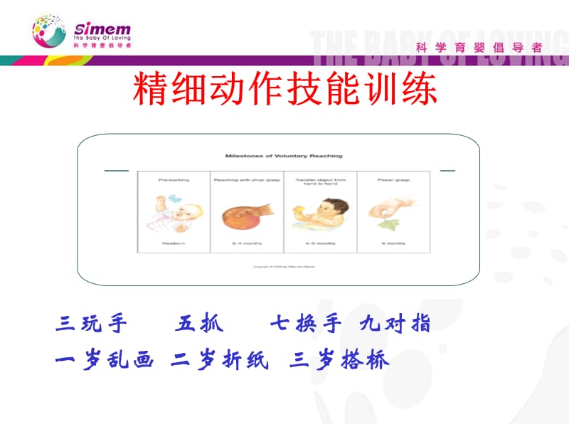 婴儿小肌肉动作精细动作-文档资料.ppt_第2页