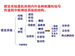 神经功能感检查法课件-文档资料.ppt