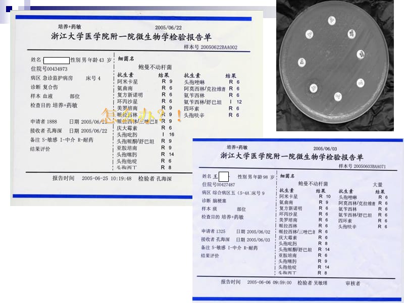 合理使用抗生素的意义-PPT文档.ppt_第2页