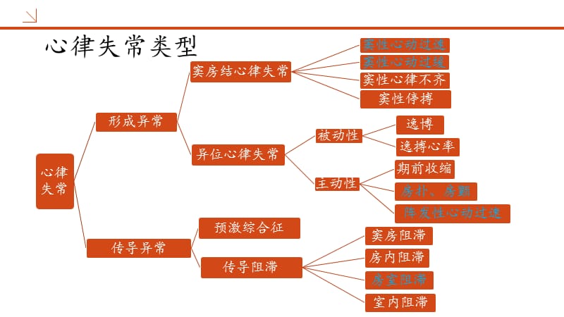 常见的心律失常及药物选择-文档资料.pptx_第3页