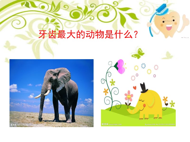 最新：儿童口腔保健赵红波-文档资料.ppt_第3页